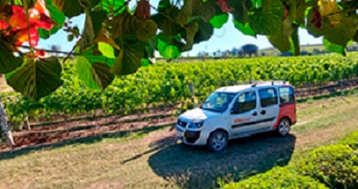 Agenda de Vacinação Covid-19 - Acima de 60 anos - Prefeitura Municipal de  Monte Belo - MG - Prefeitura de Monte Belo - MG