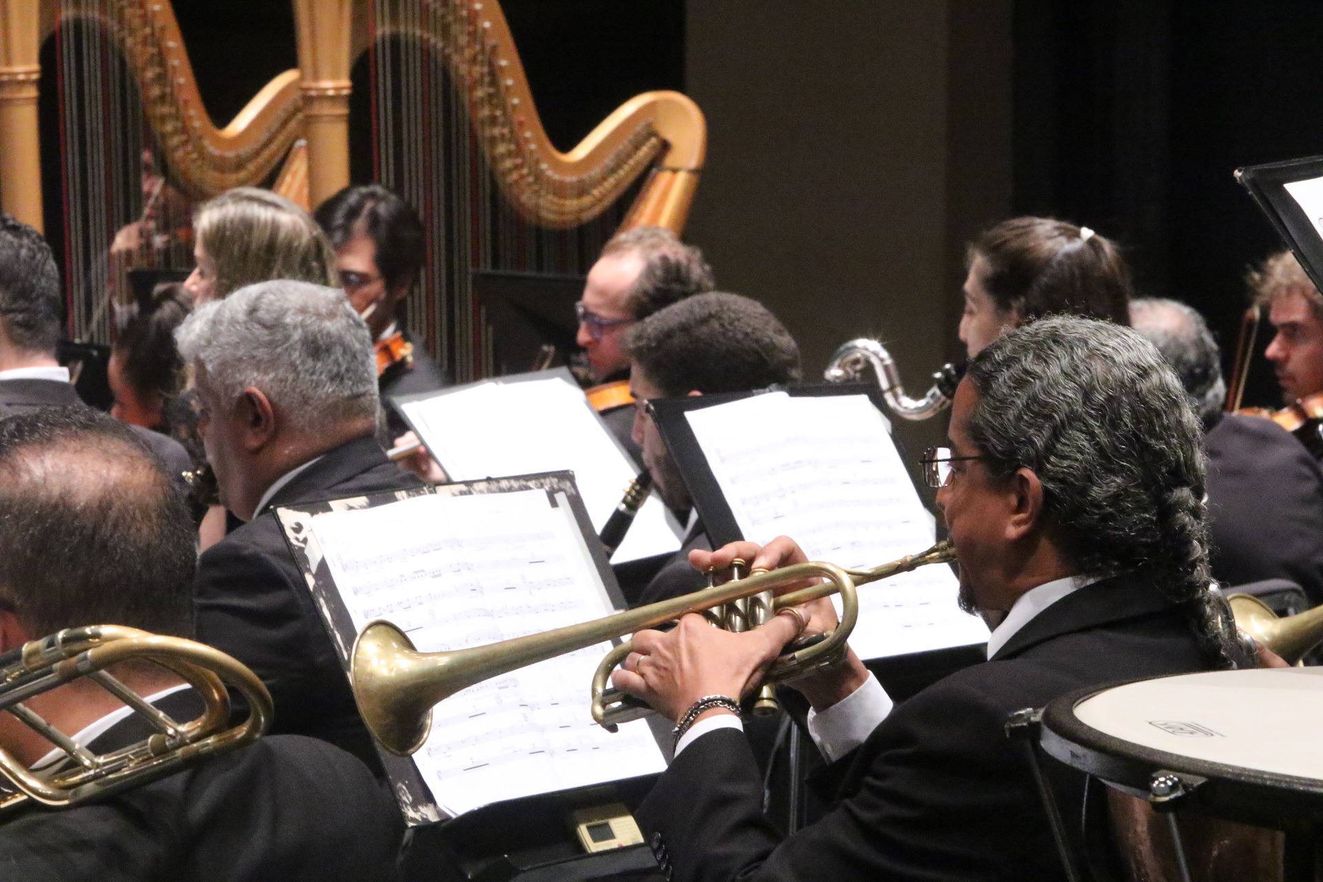 Orquestra Sinfônica de Minas Gerais Crédito Paulo Lacerda 3