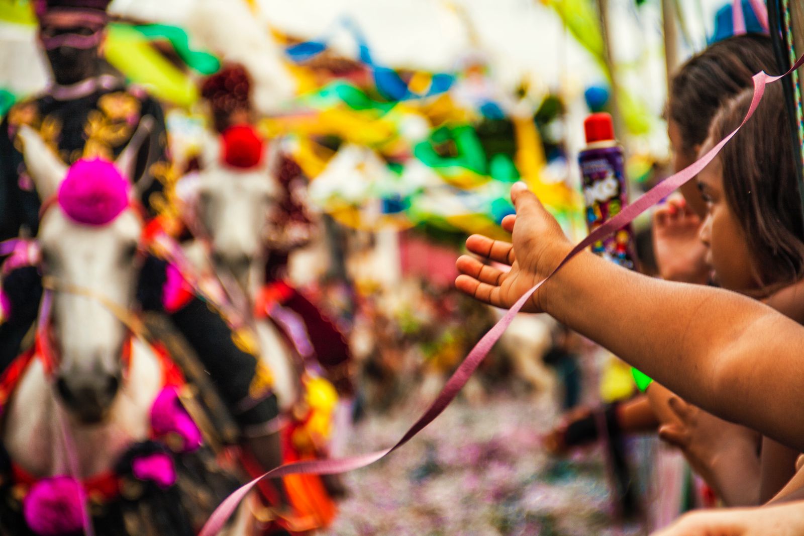 fotocarnavalchicoribeiro