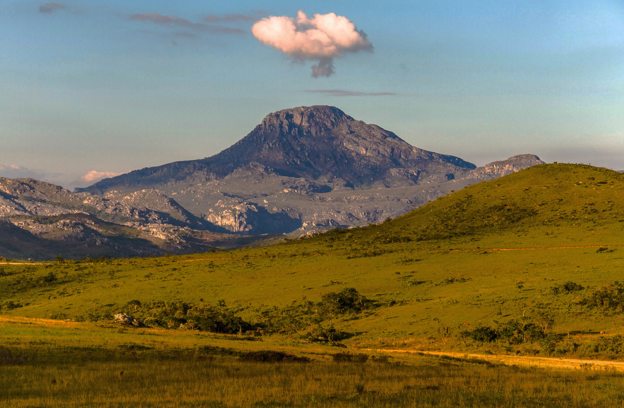 IMG 0755 2 Cezar Felix copia