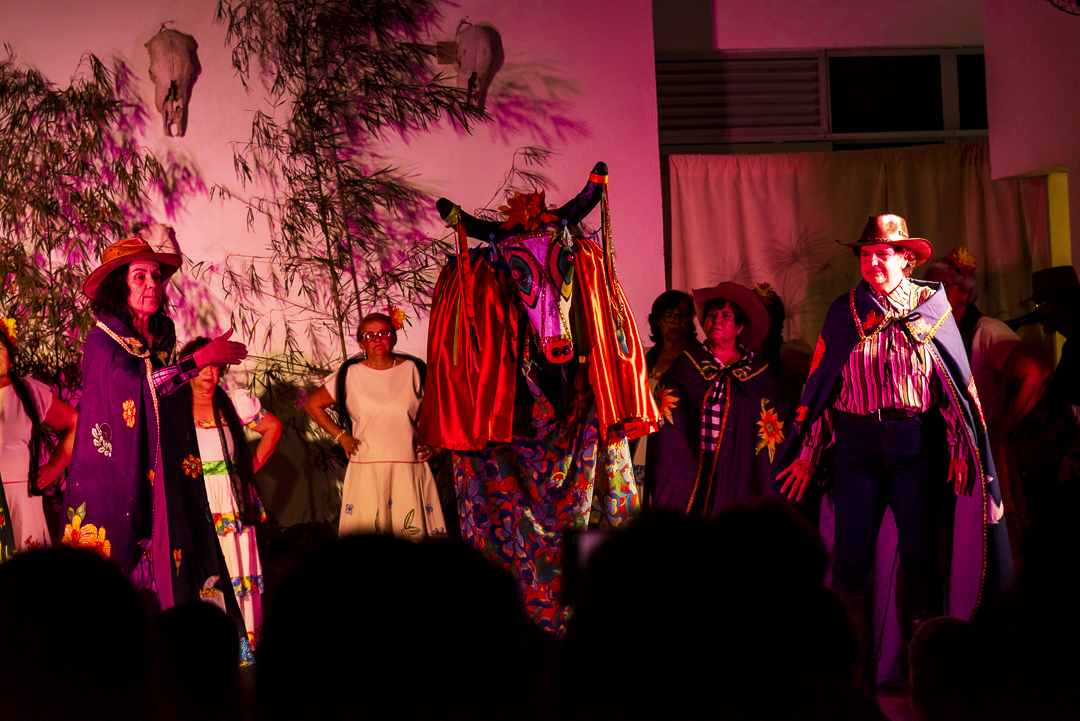 Teatro Boi Rodapião MCGR Ronaldo Alves 2023