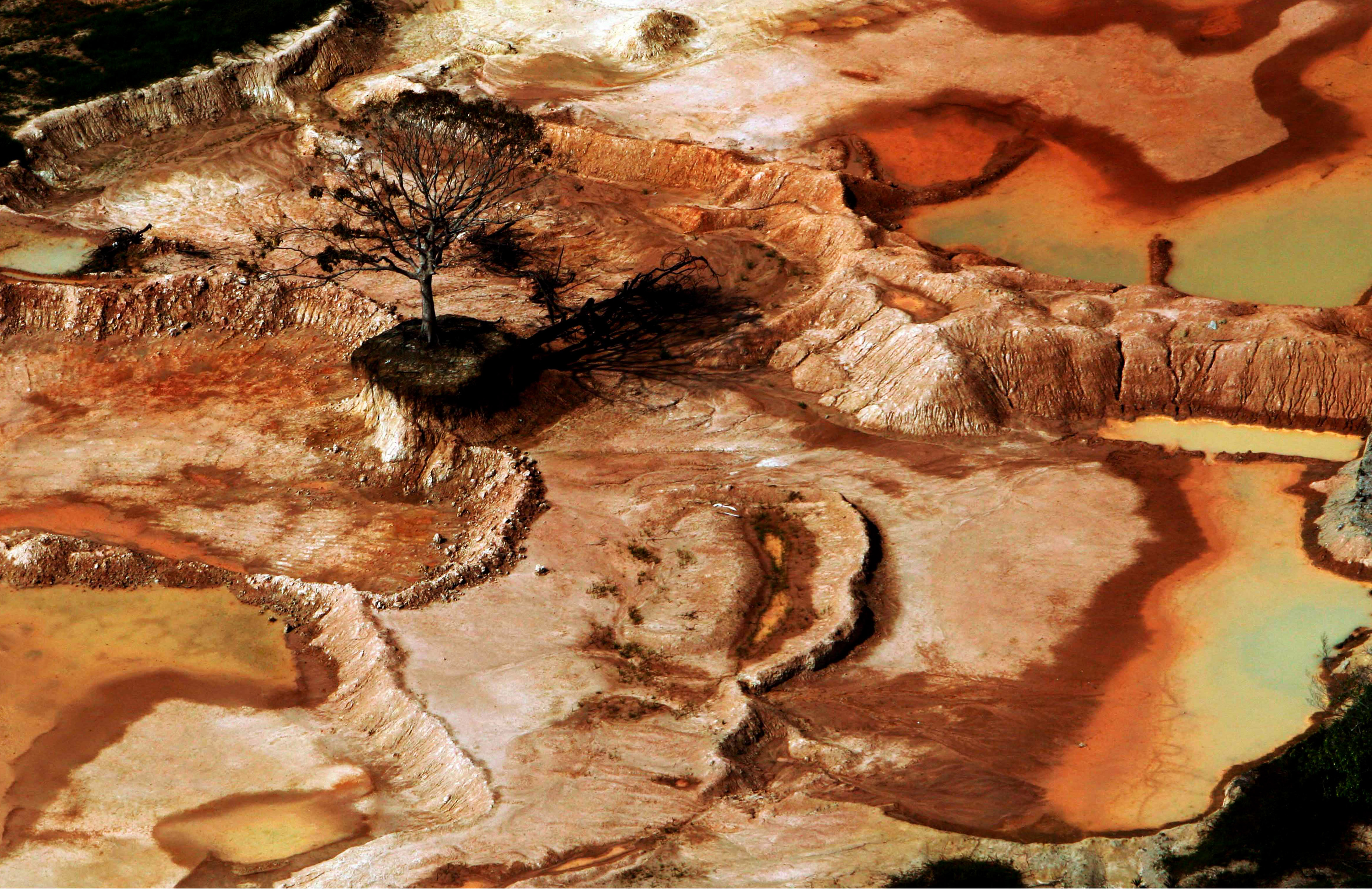 27 9 2021 minifotoempauta